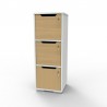 Casier vestiaire bois chêne et blanc convenant pour tout type d'entreprise et école, vestiaire à casiers pour salles de fitness