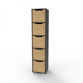 Vestiaire de bureau en bois graphite avec 5 cases livré monté en entreprise et fermé par des portes avec des serrures à clé