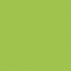 Pupitre bois pour conférence en coloris vert pour apporter une couleur pep's pendant votre conférence ou cérémonie