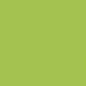Pupitre bois pour conférence en coloris vert pour apporter une couleur pep's pendant votre conférence ou cérémonie