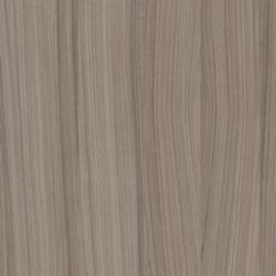 Pupitre conférence bois en coloris bois driftwood avec rangements en accès libre, pupitre conférence qui est léger et stable