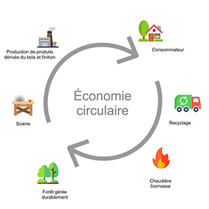 Economie circulaire dans la gestion du bois et du programme for the endorsement of forest certification schemes