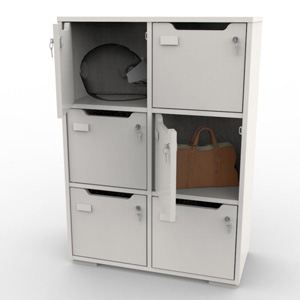 meuble-de-rangement-professionnel-fermant-a-cle