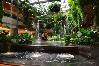 Inspiration de Mobilier pour Hôtels Inspirés par la Nature 