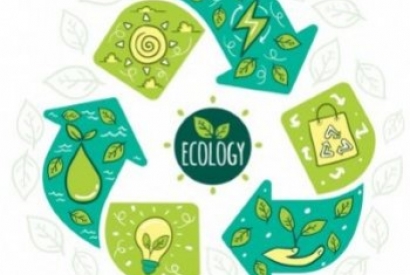 Comment mettre en place le développement durable en entreprise ?
