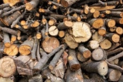 Filière bois : comprendre la crise des matières premières.
